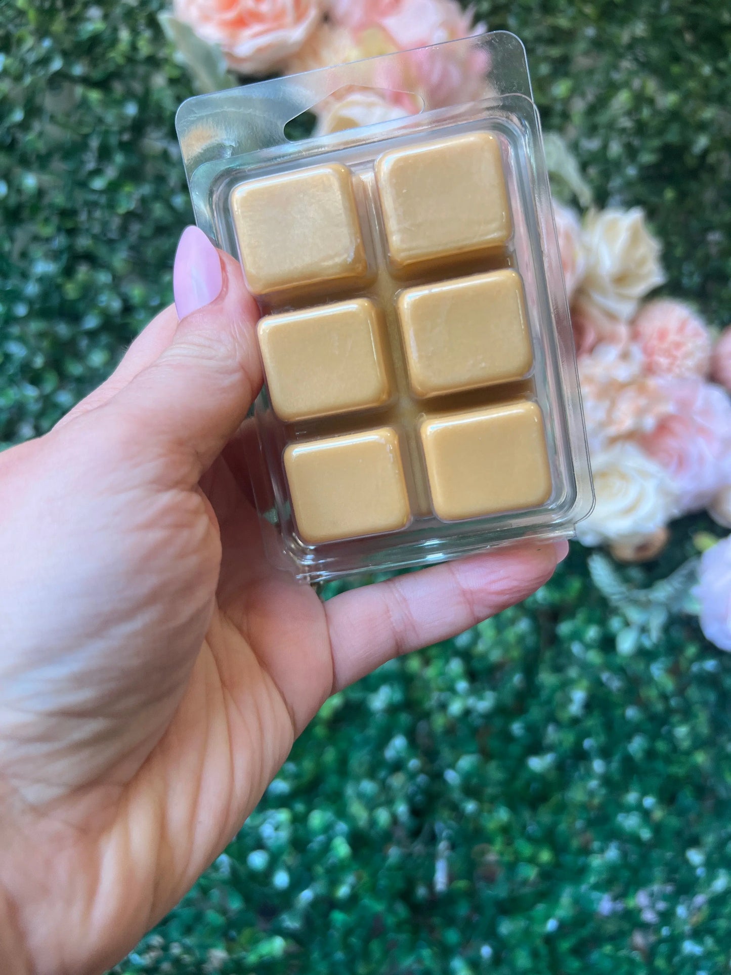 Caramilk v2 The Teacher Collective