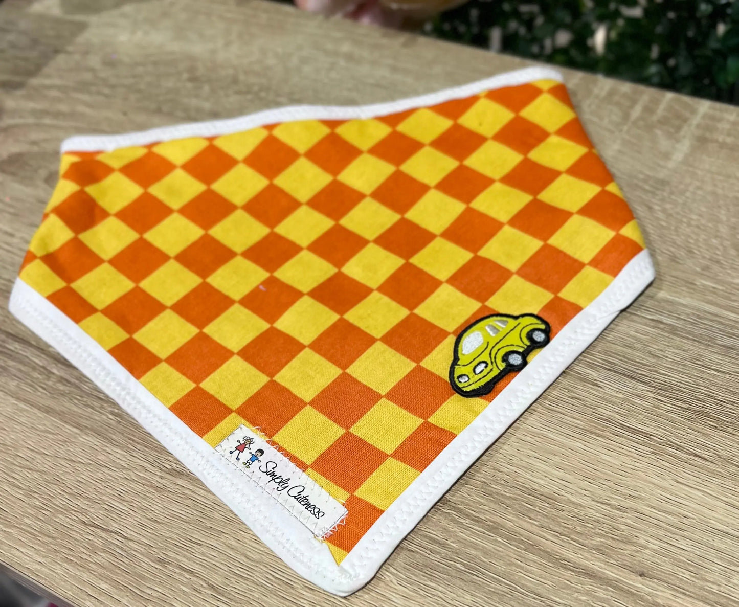 Dribble bibs The Teacher Collective