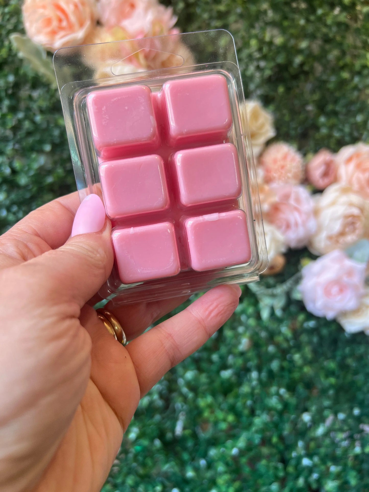 Bora Bora The Teacher Collective