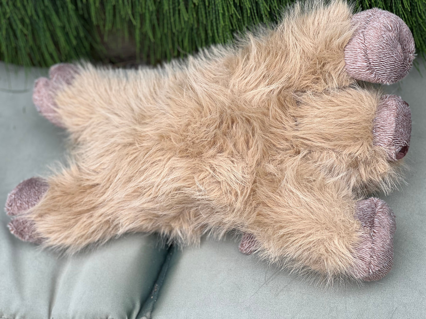 Harry- weighs 660g