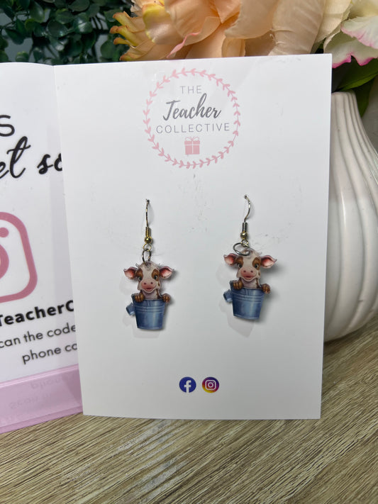 Fashion earrings