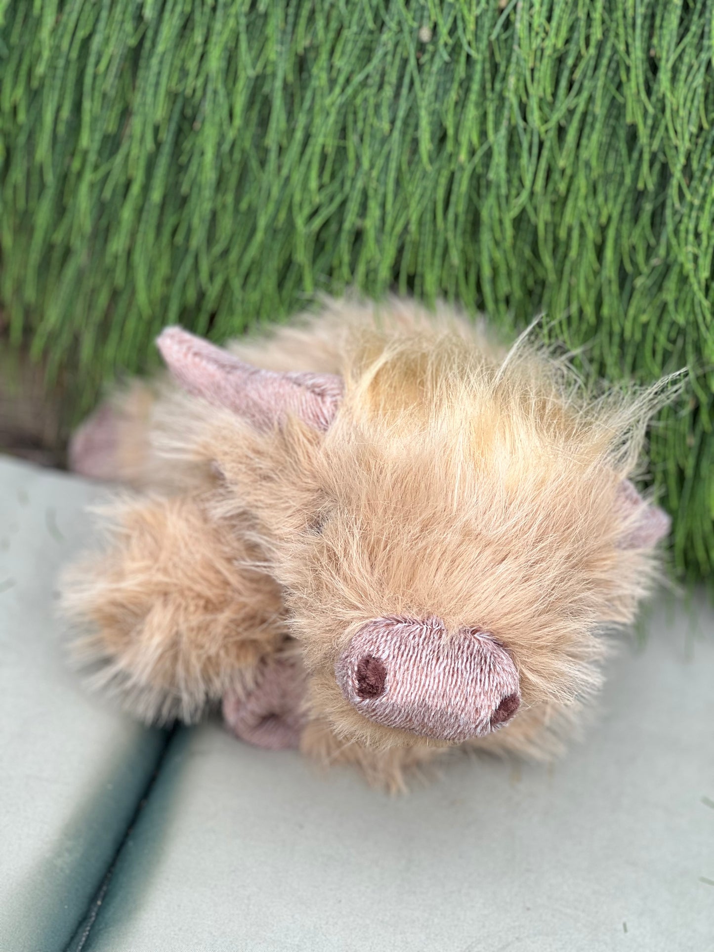 Harry- weighs 660g
