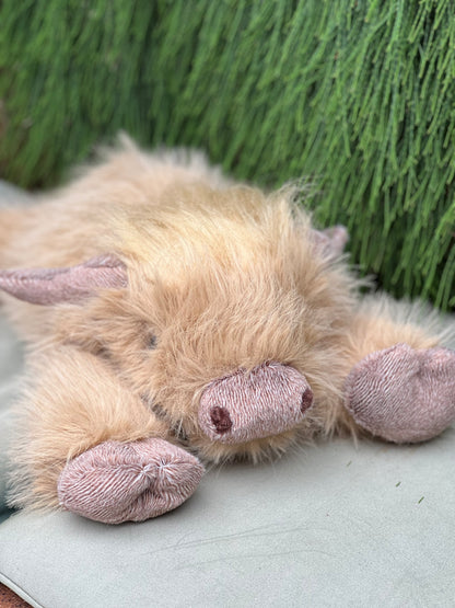 Harry- weighs 660g