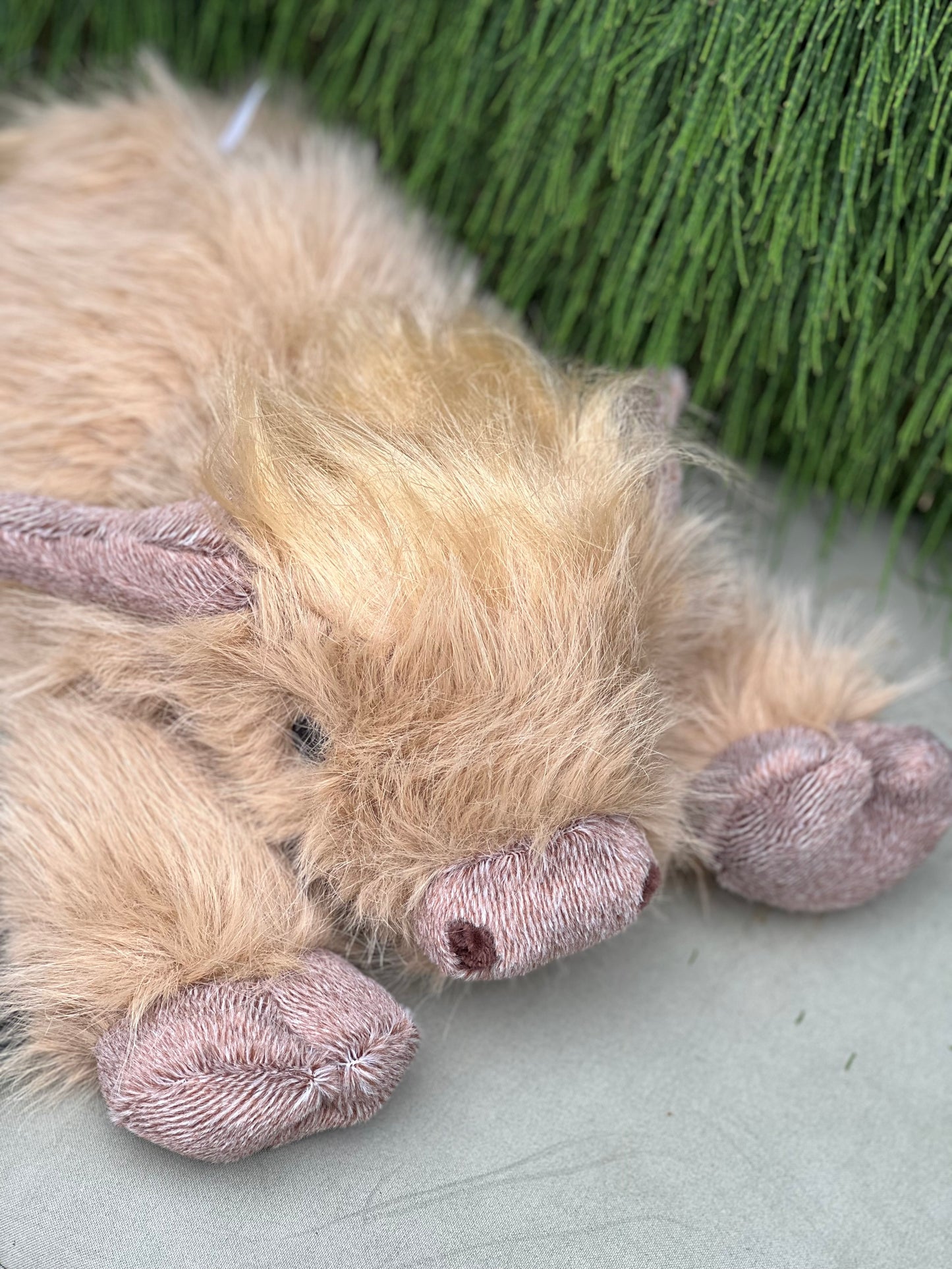 Harry- weighs 660g