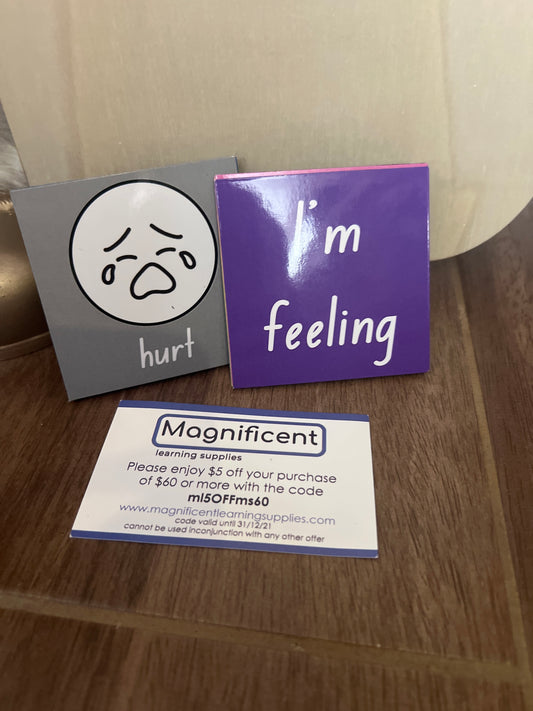 Magnificent learning ‘feelings set’