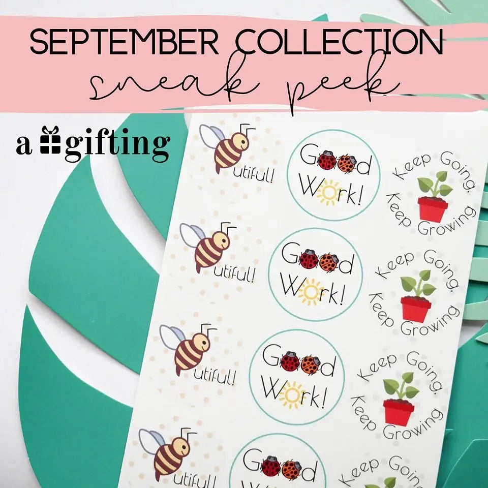 September Collection The Teacher Collective